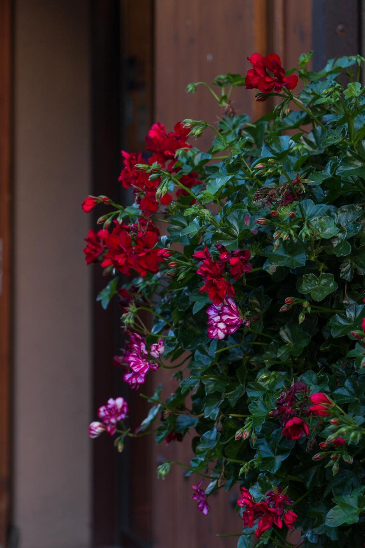 La Val Hotel Isolaccia